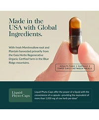 Gaia Herbs Mighty Lungs - Lung Support Supplement to Help Maintain Overall Lung & Respiratory Health