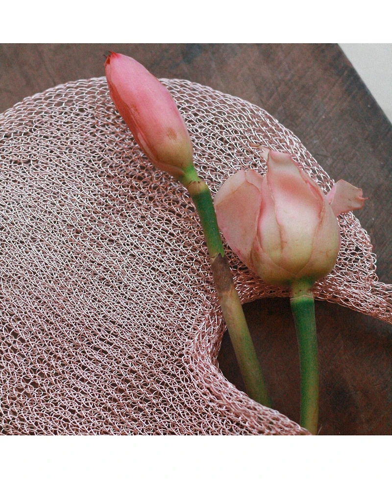 Brunna.co The Sol Mesh Wire Tote Bag