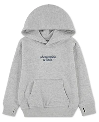 abercrombie kids Boys' Essential Logo Pullover Hoodie