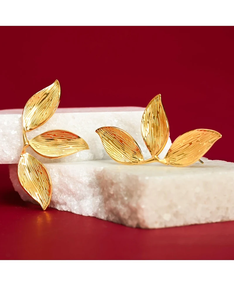 Starfish Project Women's Canopy Earrings