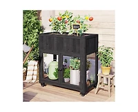 sumyeg Patio 35.4"x17.7"x37.4" Mini Wood Cold Frame 2 Doors Garden Greenhouse with Wheels,Raised Bed Liner