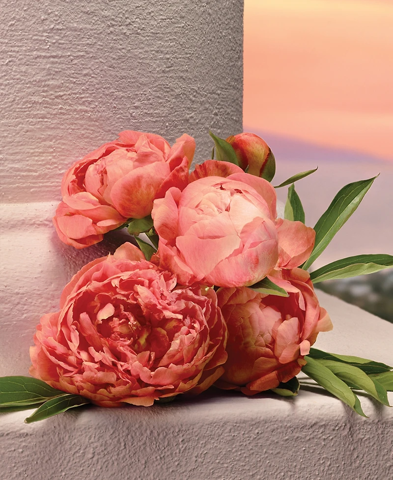 Dolce&Gabbana My Devotion Eau de Parfum Spray, 1 oz.