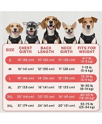 Aronkl 2-Pack Lightweight Athletic Dog T-Shirt with Reflective Label for Outdoor Use