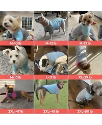 Aronkl 2-Pack Lightweight Athletic Dog T-Shirt with Reflective Label for Outdoor Use