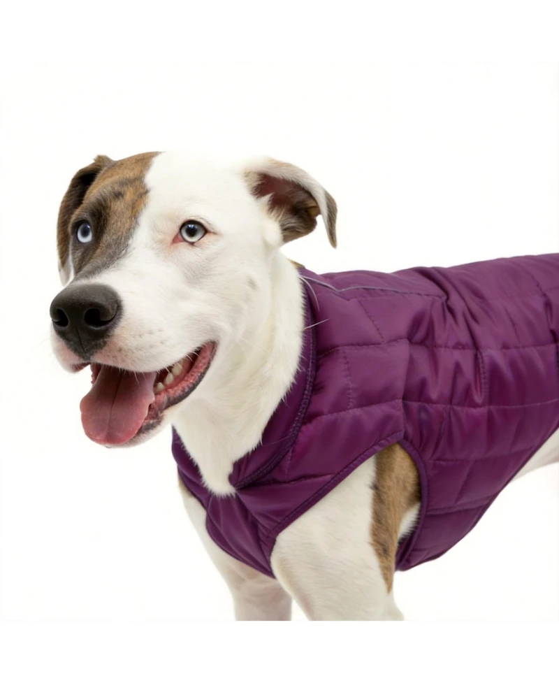 Aronkl Loft Dog Jacket: Insulated, Reversible, Water-Resistant, Reflective, Adventure Ready