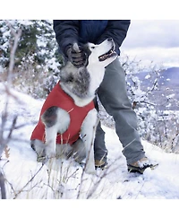 Aronkl Loft Dog Jacket: Insulated, Reversible, Water-Resistant, Reflective, Adventure Ready