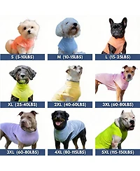Aronkl Uv Protection Spf 30 Breathable Quick Dry Dog T Shirt
