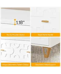 Rainsken 2-Drawer Lateral File Cabinet for Legal/Letter/A4 Size