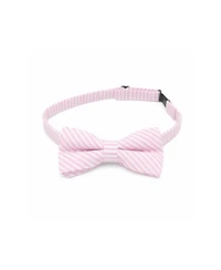 Bits & Bows Boys Little/Big Seersucker Bow Tie