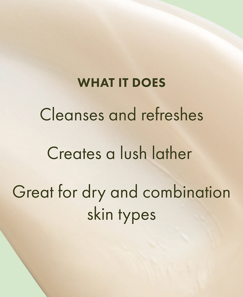 Origins A Perfect World Antioxidant Face Cleanser With White Tea, 5 oz.