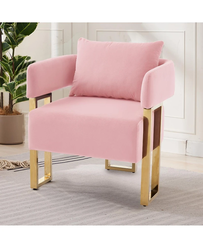 Streamdale Furniture Modern decorative chair with gold legs, velvet fleece upholstered, 2PCS