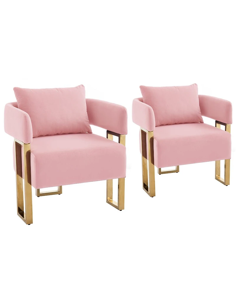 Streamdale Furniture Modern decorative chair with gold legs, velvet fleece upholstered, 2PCS