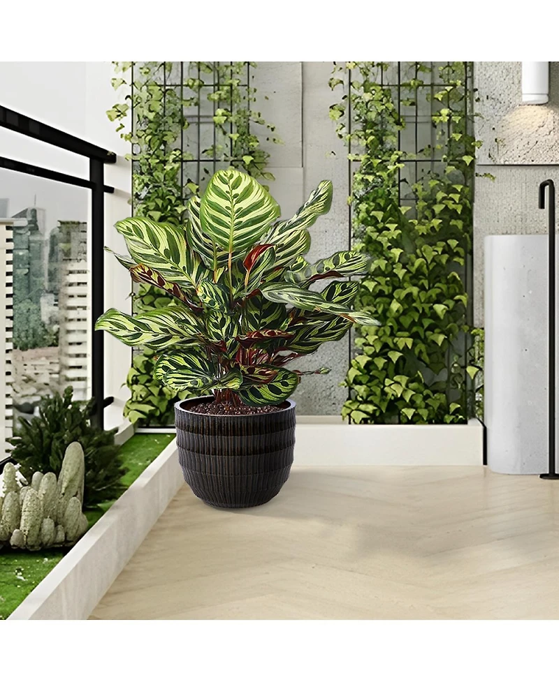 Streamdale FurnitureHandmade Dark Coffee Ceramic Planter Set of 4 (6.5" to 14.17") - Indoor/Outdoor Flower Pot