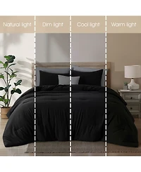 Stratford Park Anaya Solid 3-Pc. Comforter Set