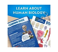 National Geographic Glow-In-The-Dark Human Body