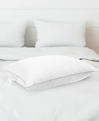 Cheer Collection Down Alternative -Pack Pillows