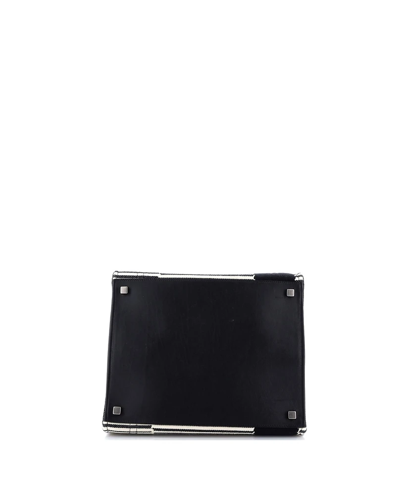 Pre-Owned Celine Medium Phantom Bag Striped Canvas