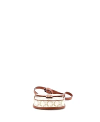 Pre-Owned Celine Mini Besace Flap Bag Triomphe Coated Canvas