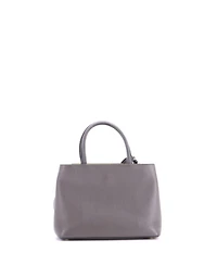 Pre-Owned Fendi Petite 2Jours Bag Leather