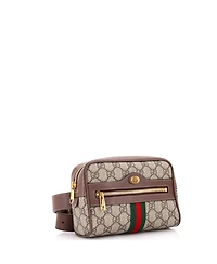 Pre-Owned Gucci Small Ophidia Belt Bag Gg Coated Canvas