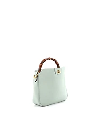 Pre-Owned Gucci Small Diana Nm Bamboo Shoulder Bag Leather