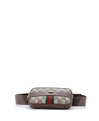 Pre-Owned Gucci Small Ophidia Belt Bag Gg Coated Canvas