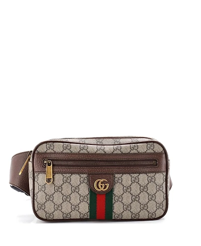 Pre-Owned Gucci Medium Ophidia Belt Bag Gg Coated Canvas