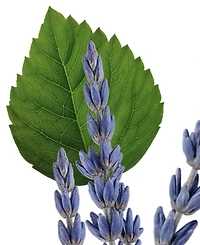 Parfums de Marly Layton Shower Gel, 6.7 oz.