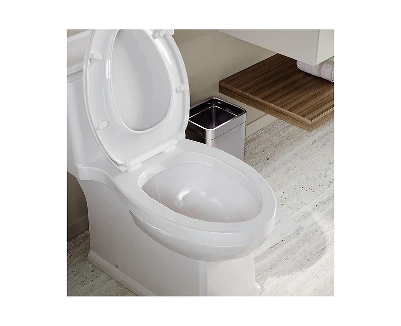 gaomon One Piece Toilet for Bathroom, Elongated Toilet with Left-Hand Trip Lever, Dual Flush 0.8/1.28 Gpf, Soft-Close Seat