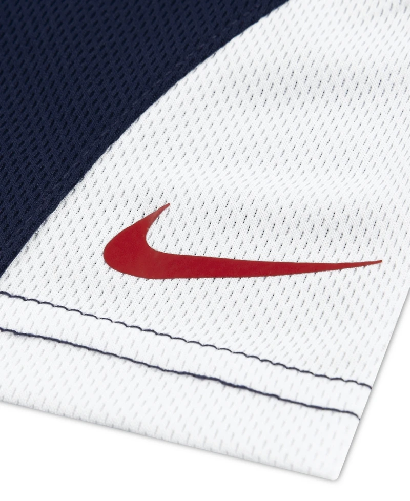 Nike Toddler Boys' 2T-4T Baseball Graphic T-Shirt and Mesh Shorts, 2-Piece Set