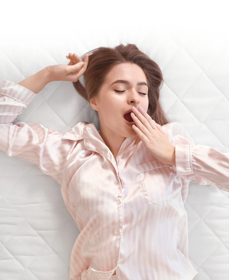 Cheer Collection Quilted Mattress Pad/Protector