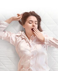 Cheer Collection Quilted Mattress Pad/Protector