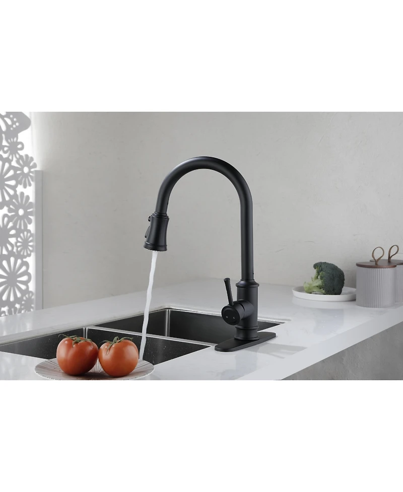 Busdays Kitchen Faucet with Pull-Down Sprayer, Single-Handle Stainless Steel Pull Out Kitchen Faucet, 2-in-1 Spray Head