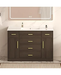 Sillysis Bathroom Vanity with Resin Top, 6 Drawers and 2 Soft Close Doors, Transitional Storage for Modern Bathroom