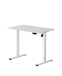 FlexiSpot EC2 40"x24" Electric Height-Adjustable Standing Desk