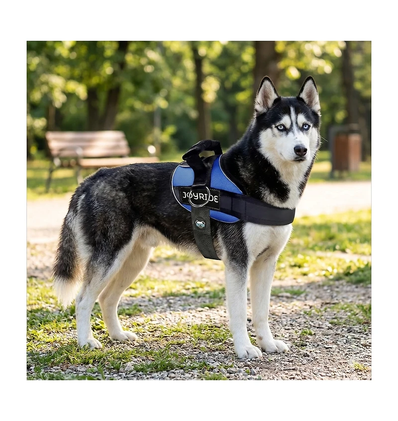 ProMounts Side Ring No Pull Dog Harness