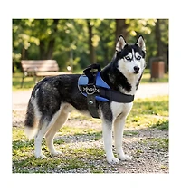 ProMounts Side Ring No Pull Dog Harness