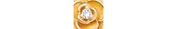 Tiny Blessings 14K Radiance Cz Studs Screw Back Earrings