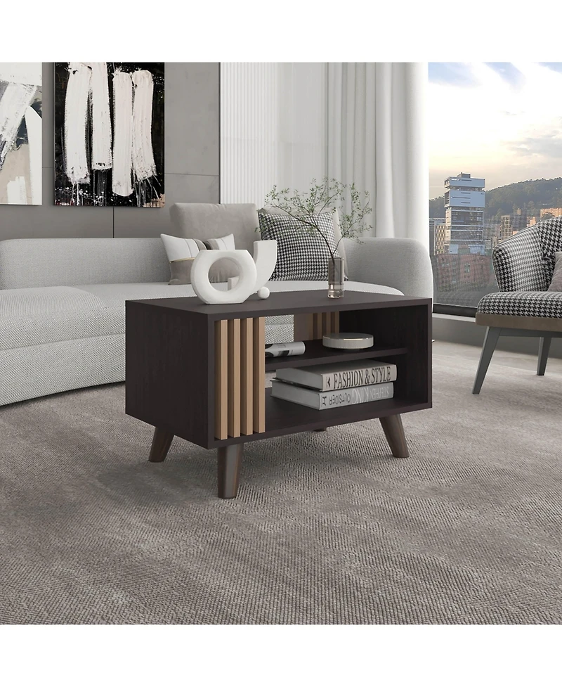 Depot E-shop Roann Coffee Table, 2 Shelves