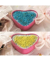 Gnuadz Dried Pressed Flowers Lace Set, 60 Pc. Craft Decor