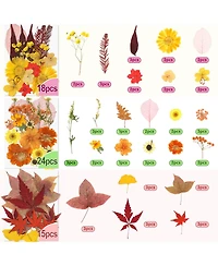 Gnuadz 100+ Real Dried Pressed Flowers Leaves Florals Tweezer Candle Scrapbooking Thanksgiving Gift