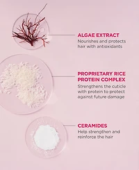 Briogeo Don't Despair Repair! Rich Rice Shampoo Concentrate, 3 oz.