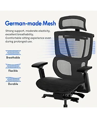 FlexiSpot Ergonomic Chair C7-Mesh Seat (No Footrest