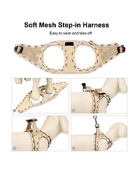 Aronkl Soft Mesh No-Choke Step-In Dog Cat Harness Leash Set Reflective Breathable for Small Pets