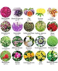 Gnuadz 20 bags Dried Flowers Herbs Kit Soap Candle Bath