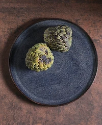 Porto Brasil Stoneware Buffer Dinner Plates, Set of 6