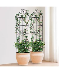 Gouun Metal Garden Trellis for Climbing Plants, 71 x 20 in 2-Pack Rustproof Powder-Coated Plant Support