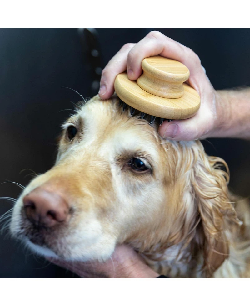 Aronkl Large Dog Bath Scrubber Soft Silicone Bristles Shedding Bathing Massaging Secure Grip Easy Rinse