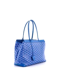 Pre-Owned Goyard Pm Bellechasse Bag Coated Canvas