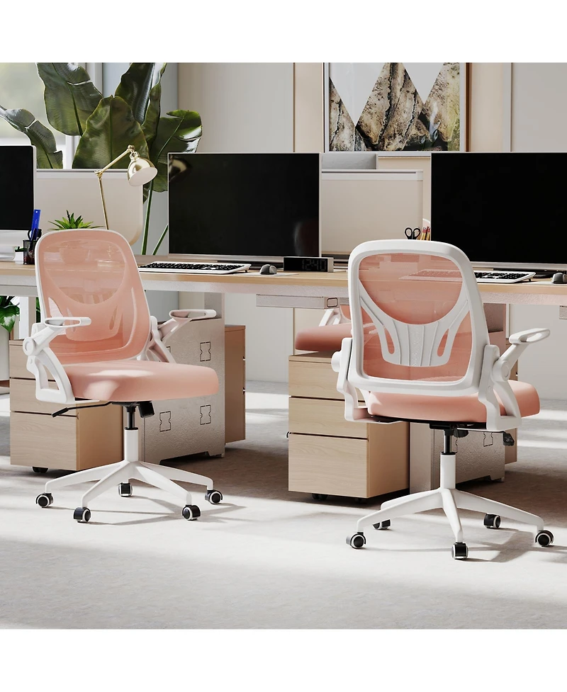 Sugift Ergonomic Computer Desk Chair with Lumbar Support and Flip-up Arms